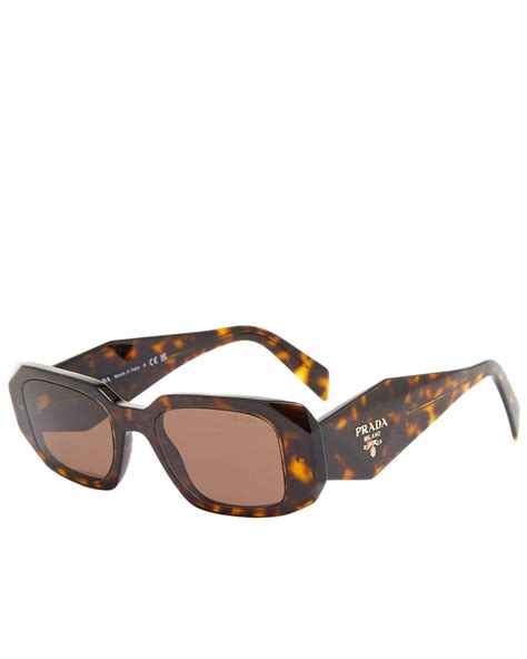 prada sunglasses for women brown with diamonds on sides|Prada symbole sunglasses tortoise.